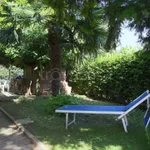 Rent 3 bedroom apartment of 50 m² in Cesena