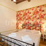 Rent 3 bedroom apartment of 60 m² in Firenze