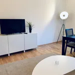 Rent 1 bedroom apartment in Graz