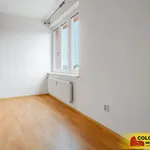 Rent 1 bedroom apartment in Brno