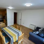 Rent 2 bedroom apartment of 57 m² in dublin