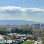 Rent 3 bedroom apartment of 94 m² in Turin