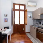 Rent 1 bedroom apartment of 45 m² in turin