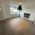 Rent 1 bedroom flat in London