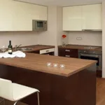 Rent 2 bedroom apartment of 52 m² in Pilsen