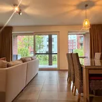 Rent 1 bedroom apartment in Harelbeke