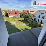 Rent 1 bedroom apartment of 30 m² in Praha