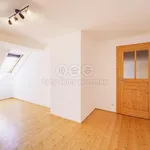 Rent 3 bedroom apartment of 130 m² in Františkovy Lázně