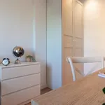 Rent 4 bedroom apartment in Madrid