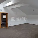 Rent 3 bedroom apartment of 147 m² in Velké Meziříčí