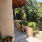 Rent 4 bedroom house of 240 m² in Ευρυάλη