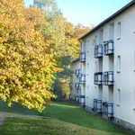 Rent 3 bedroom apartment of 67 m² in Siegen