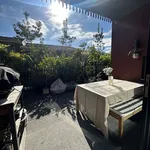 Rent 1 bedroom apartment in Maungakiekie-Tāmaki