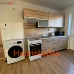 Rent 3 bedroom apartment of 48 m² in Havířov