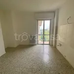 Rent 3 bedroom apartment of 100 m² in Pavia