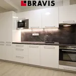 Rent 1 bedroom apartment of 50 m² in Brno