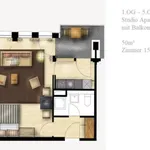 Rent 1 bedroom apartment of 40 m² in Frankfurt