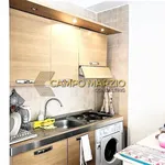 Rent 1 bedroom apartment of 40 m² in Roma