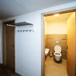 Pronajměte si 2 ložnic/e byt o rozloze 55 m² v Prague