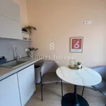 Rent 1 bedroom apartment of 28 m² in Grad Rijeka