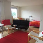 Rent 1 bedroom apartment of 34 m² in REIMS