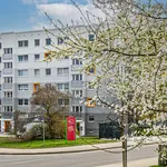 Rent 4 bedroom apartment of 78 m² in Dresden