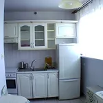 Rent 2 bedroom apartment of 49 m² in Krakow