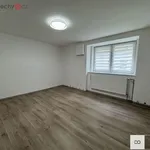 Rent 2 bedroom apartment of 41 m² in Trhový Štěpánov