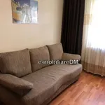 Rent 1 bedroom apartment in Oancea