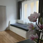 Rent 1 bedroom apartment of 65 m² in Prague