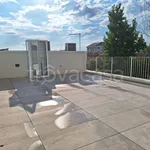 Affitto 3 camera appartamento di 67 m² in Cittadella