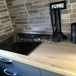 Rent 1 bedroom apartment of 35 m² in Turin