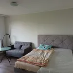 Rent 1 bedroom apartment in Prague