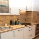 Rent 2 bedroom apartment of 45 m² in Nuremberg