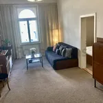 Rent 1 bedroom apartment of 59 m² in Brno