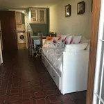 Rent 4 bedroom apartment of 60 m² in Camaiore