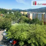 Rent 2 bedroom apartment of 47 m² in Ústí nad Labem