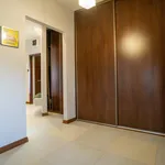 Rent 4 bedroom apartment of 100 m² in Łódź