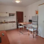 Rent 1 bedroom apartment of 33 m² in Cremona