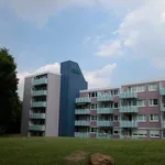 Rent 2 bedroom apartment of 56 m² in Hagen