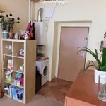 Rent 2 bedroom apartment of 50 m² in Pilsen