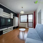 Rent 1 bedroom apartment in Hodonín