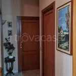 Rent 6 bedroom apartment of 100 m² in Campobasso