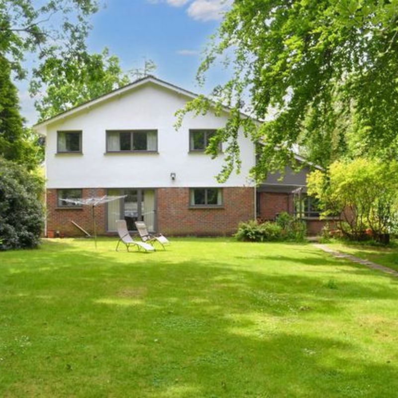 Detached house to rent in Storrington, West Sussex RH20