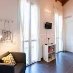 Rent 1 bedroom apartment of 40 m² in Milano