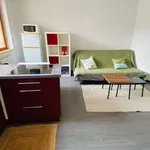 Rent 1 bedroom apartment of 23 m² in Saint-Étienne