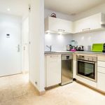 Rent 1 bedroom apartment of 45 m² in lyon