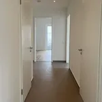 Rent 3 bedroom apartment of 82 m² in Dresden