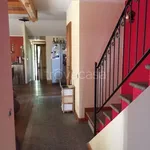 Rent 2 bedroom apartment of 65 m² in Torino