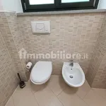 Rent 2 bedroom apartment of 78 m² in Turin